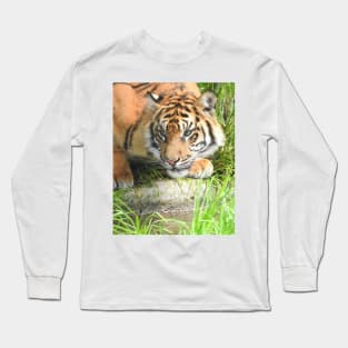 Sumatran Tiger Long Sleeve T-Shirt